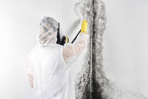 Best Commercial water damage restoration  in Fort Smith, AR